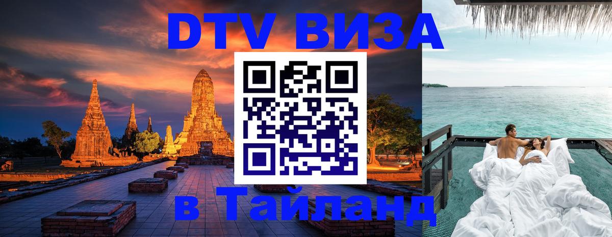 Сколько стоит DTV виза — актуальные цены, оформление даже без документов - Подгорица  04.10.2025 
